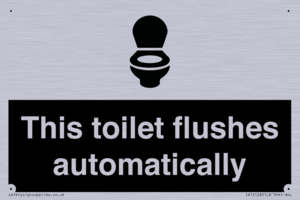 This toilet flushes automatically
